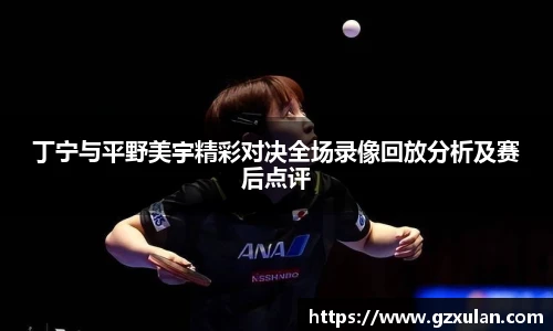 丁宁与平野美宇精彩对决全场录像回放分析及赛后点评